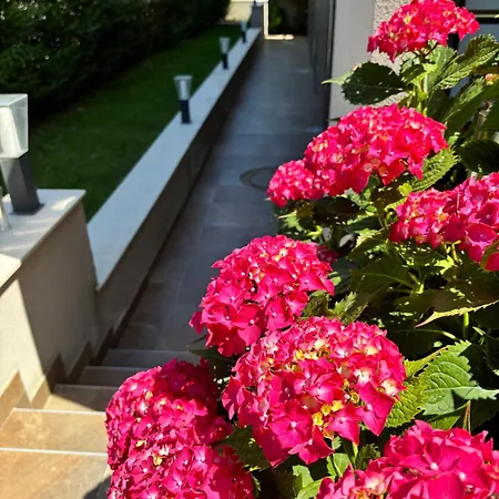 Melia Mar Affittacamere Sozopol