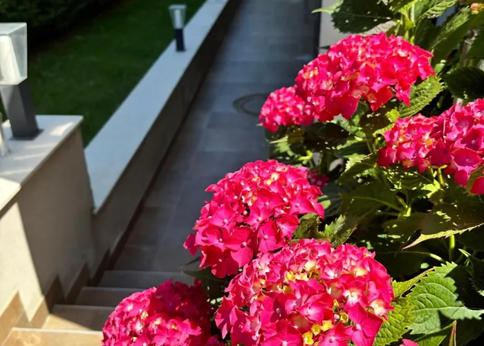 Melia Mar Casa de hóspedes Sozopol