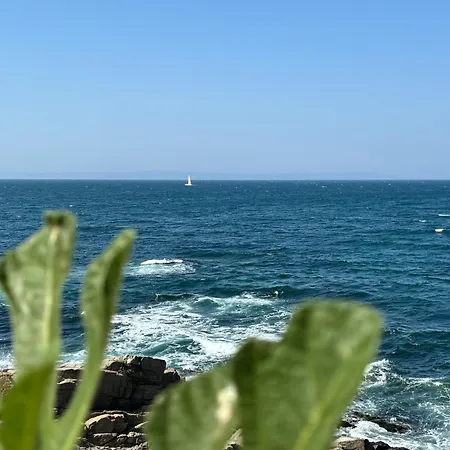 Melia Mar