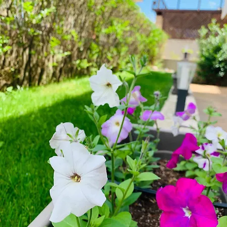 мелиа мар Къща за гости