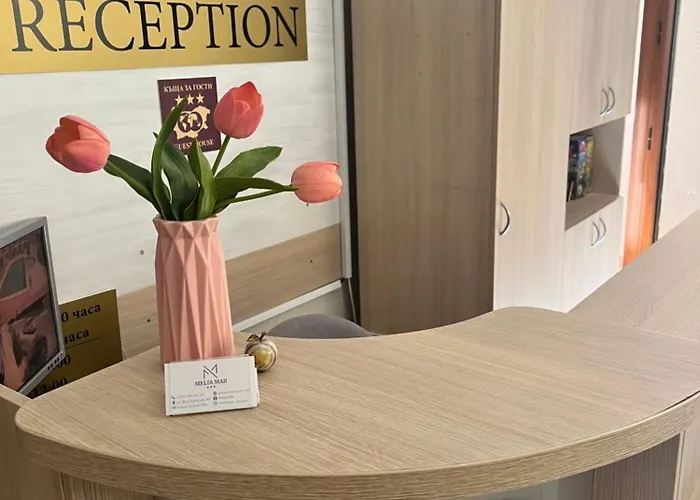 招待所 Melia Mar 4*